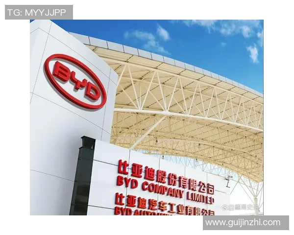 总价7.5亿！曝比亚迪将资助德甲126年老店 球场改名比亚迪竞技场